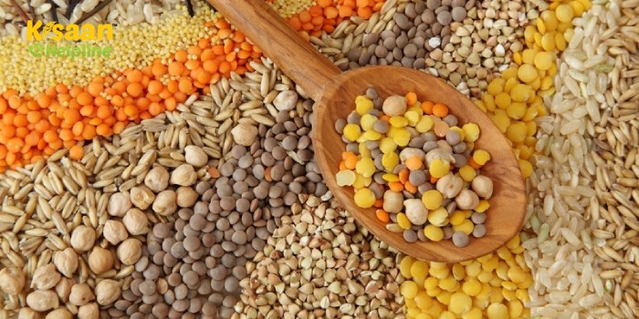 फसलों के भाव में उतार-चढ़ाव, जानिए सभी जिंसों के भाव दलौदा मंडी 01 मार्च 2023 के अनुसार